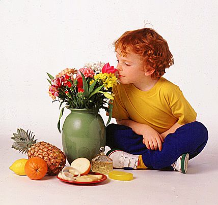Tác động bất ngờ của vị giác và khứu giác